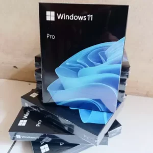 Windows 11 Pro FPP